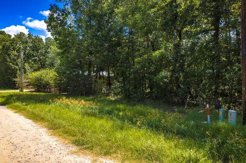TBD Lots 21 & 22 Terlingua, Livingston, TX, 77351 | Card Image