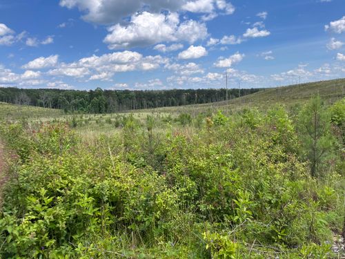 4 State Route 399, Dunlap, TN, 37327 | Card Image