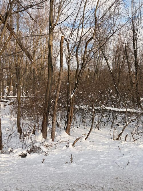 Tbd Union Ave, Chesterton, IN, 46304 | Card Image