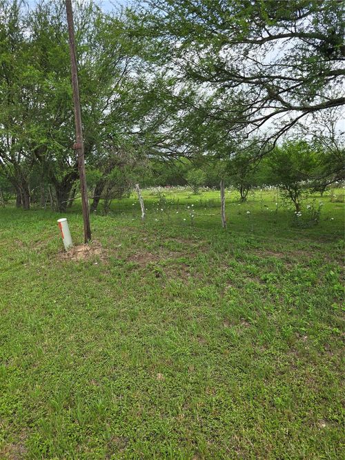 256 Park Rd 38, Sealy, TX, 77474-5916 | Card Image