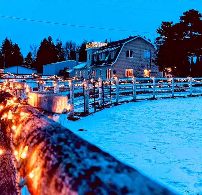 Home at Christmas | Image 39