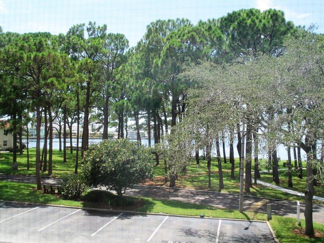 From Living Room | Image 13