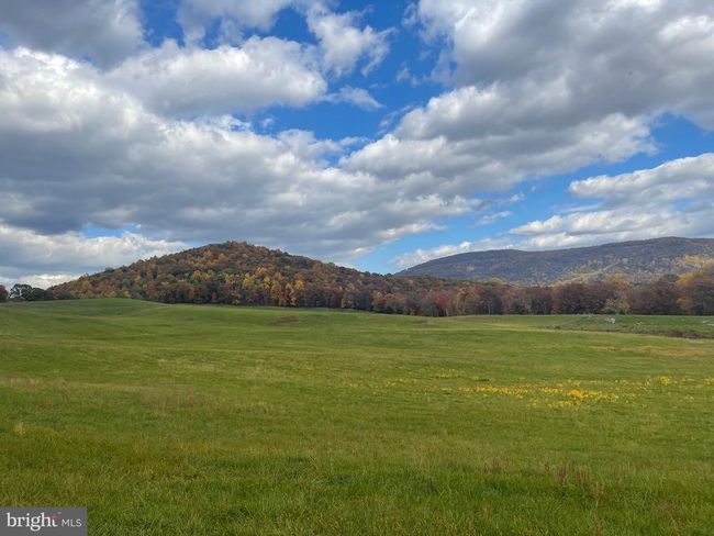 63 Buck Mountain Rd, House other with 4 bedrooms, 4 bathrooms and null parking in BENTONVILLE VA | Image 20