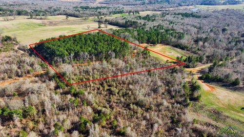 TBD Cr 2208 D, Tatum, TX, 75691 | Card Image