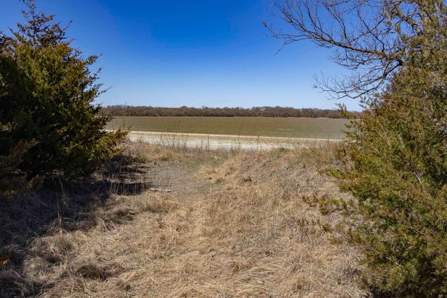 View of nature featuring a rural view | Image 12