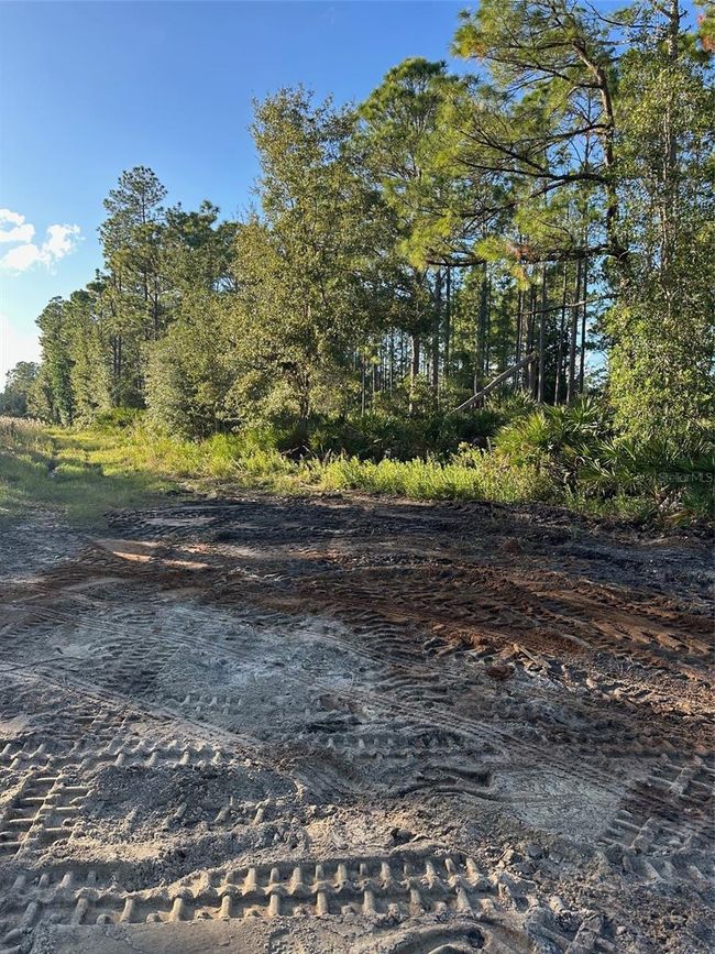 1090 Homestead Cove, Home with 0 bedrooms, 0 bathrooms and null parking in GENEVA FL | Image 5