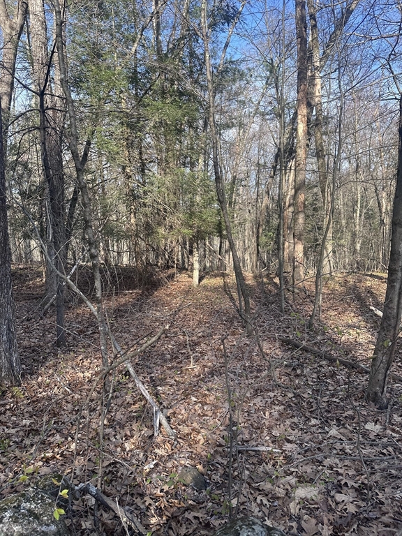 Land in Warren 4