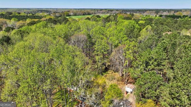 2444 Marion Ivie Rd, House other with 4 bedrooms, 4 bathrooms and null parking in Good Hope GA | Image 63