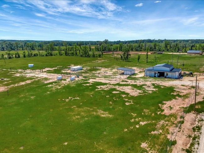 3103 Cheeseland Rd, Home with 0 bedrooms, 0 bathrooms and null parking in Pollok TX | Image 46