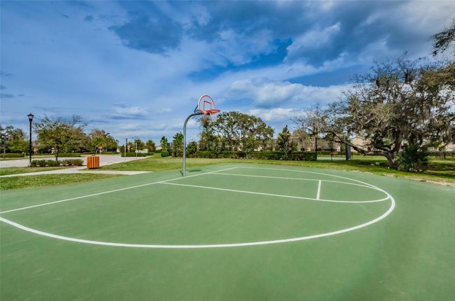14008 Lugano Ct, House other with 3 bedrooms, 3 bathrooms and null parking in HUDSON FL | Image 99