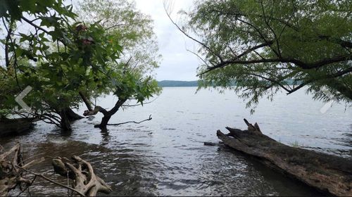 2355 Richland Harbor Rd, Waverly, TN, 37185-3606 | Card Image