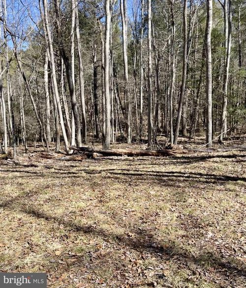 2405 Sweedlin Valley Rd, BRANDYWINE, WV, 26802 | Card Image