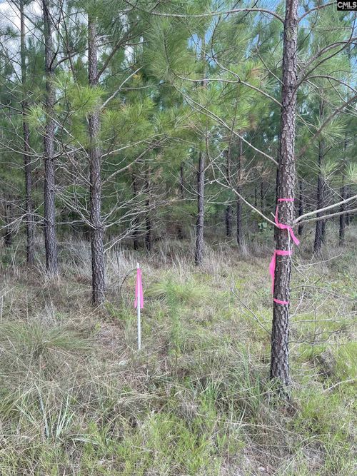 BFF 3B Brunson Teal Road, Kershaw, SC, 29584 | Card Image