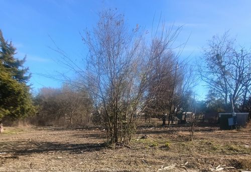 8744 Private Road 2284, Quinlan, TX, 75474 | Card Image