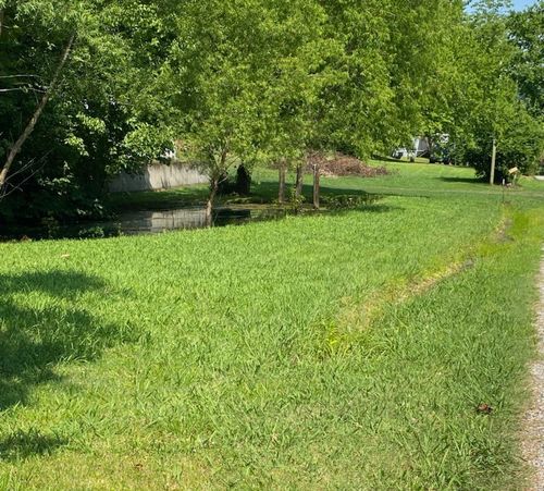 2052 Donahue Creek Rd, Pulaski, TN, 38478-6261 | Card Image