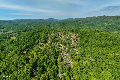 177 Fork Mountain Rd, Roan Mountain, TN, 37687-3824 | Card Image