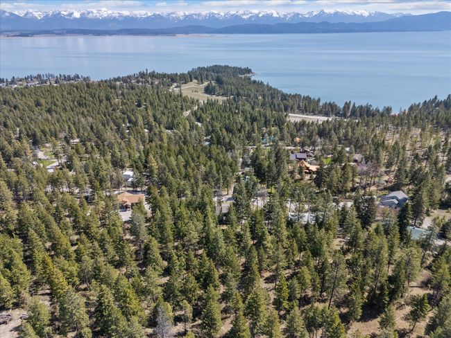 Birds eye view of property featuring a water and mountain view and a forest view | Image 46