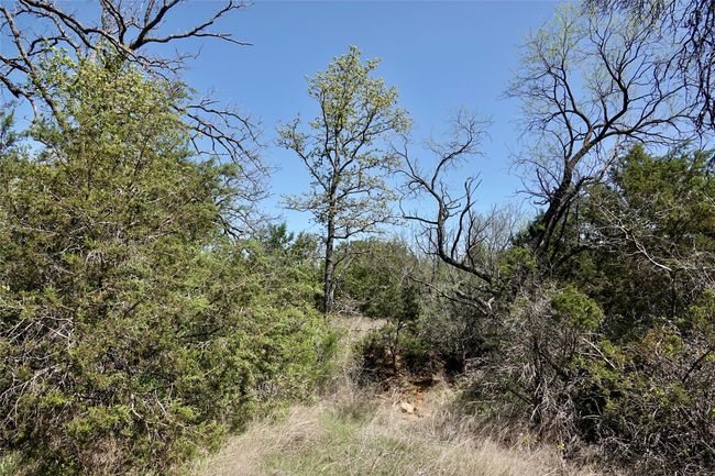 12345 County Road 107, Home with 0 bedrooms, 0 bathrooms and null parking in Mingus TX | Image 17