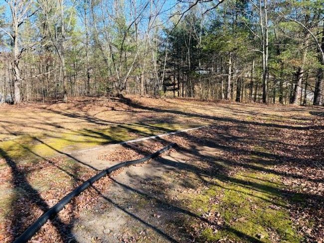 View of yard | Image 21