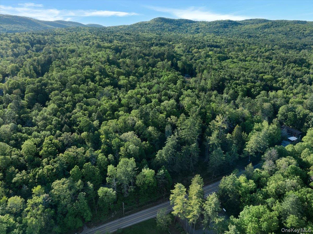 Land in Lake George 4