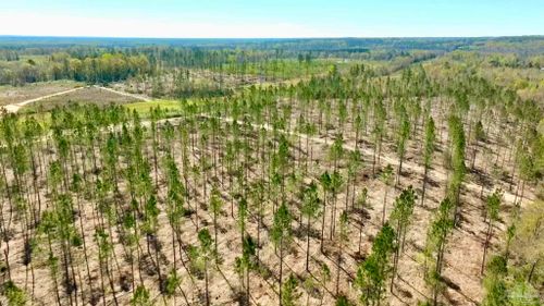 Lot 15-C Highway 29 N, Molino, FL, 32577 | Card Image