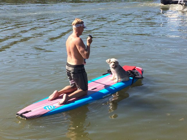 Fun dog days | Image 62