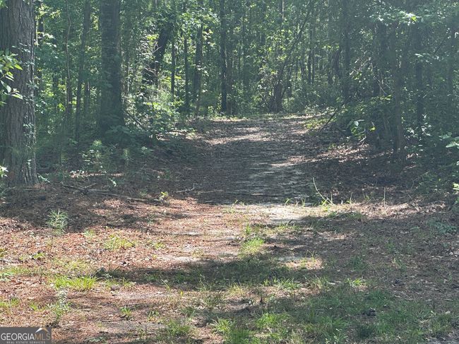 925 Cleary Rd, House other with 3 bedrooms, 2 bathrooms and null parking in Brooklet GA | Image 33
