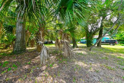 3205 N 24 Th Street, Home with 0 bedrooms, 0 bathrooms and null parking in Tampa FL | Image 2