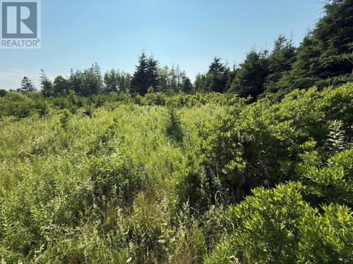 46 Sheri Crt, Tyne Valley, PE, C0B2C0 | Card Image