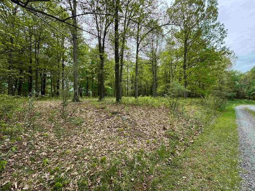 Lot 29 Oak Dr, Albright, WV, 26519 | Card Image