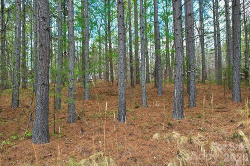 14-0 Clearwater Pkwy, Rutherfordton, NC, 28139 | Card Image