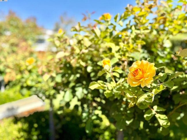 2381 Allegro St, House other with 4 bedrooms, 3 bathrooms and 3 parking in Livermore CA | Image 60