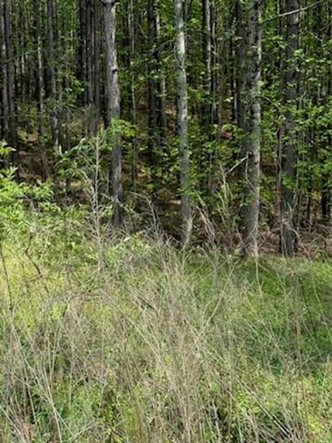 0 Eastside Dr, Home with 0 bedrooms, 0 bathrooms and null parking in Ellijay GA | Image 6