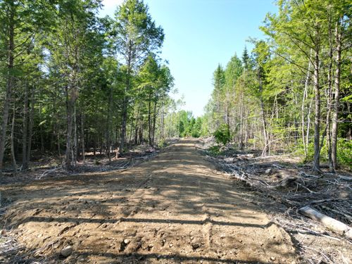 12 Off Clear Cut Lodge Road, Springfield, ME, 04487 | Card Image