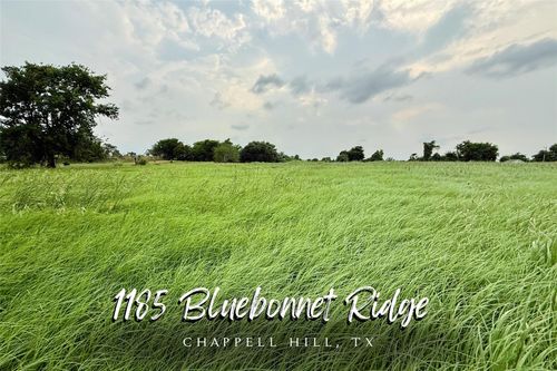 1185 Bluebonnet Ridge Dr, Chappell Hill, TX, 77426-2501 | Card Image