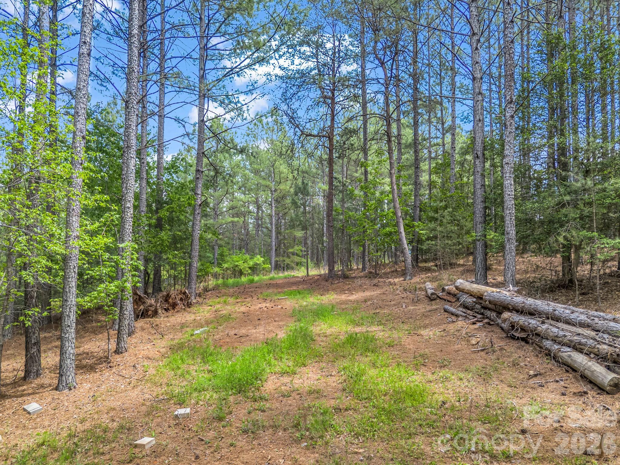 Land in Mooresboro 3