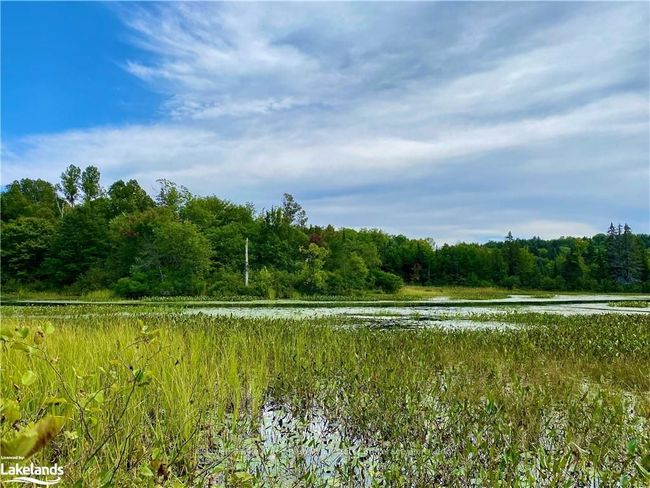 22-A Maple Dr, Home with 0 bedrooms, 0 bathrooms and null parking in Loring ON | Image 8