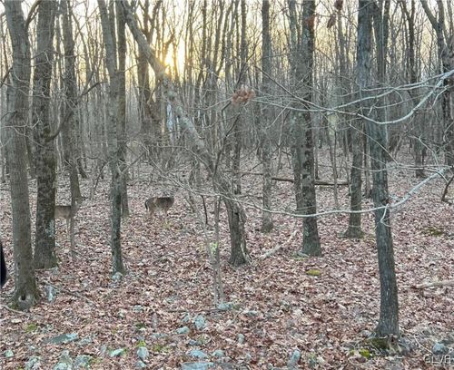 cp1002-121 Piute Trl, ALBRIGHTSVILLE, PA, 18210-3535 | Card Image