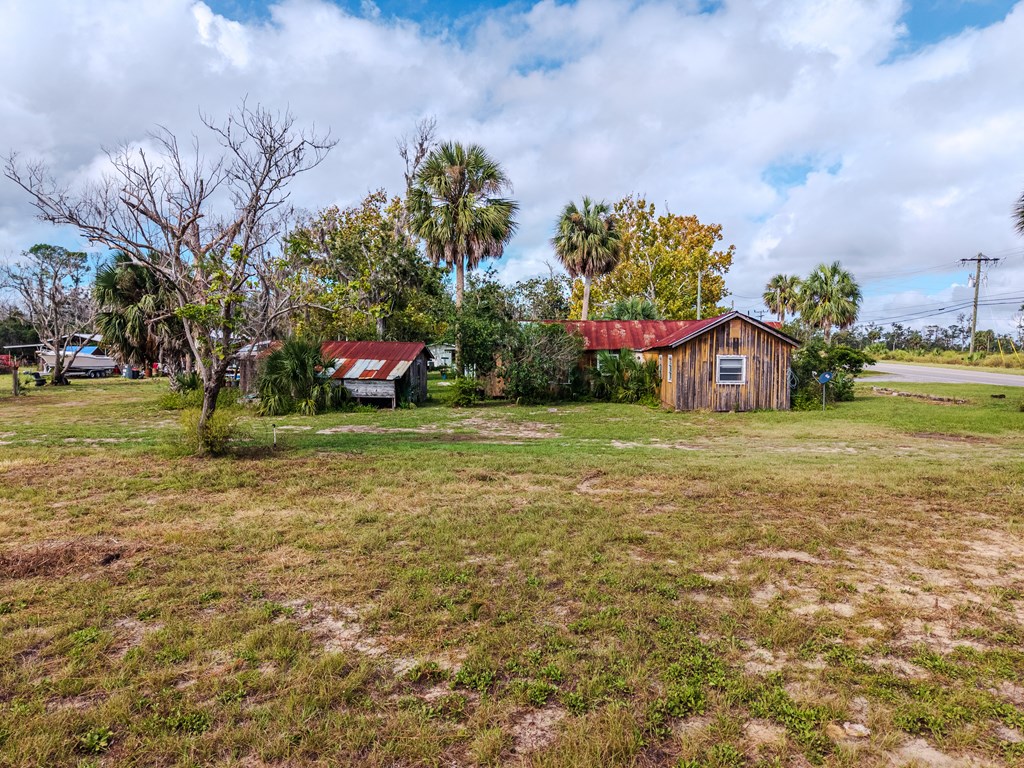 Residential in Steinhatchee 5