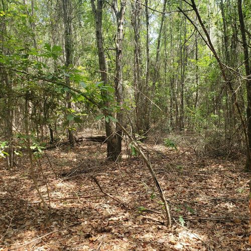 0000 Cr 2090, Splendora, TX, 77372 | Card Image