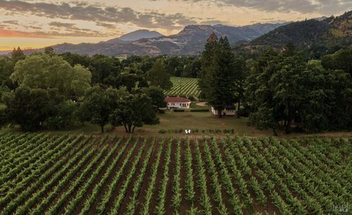 1015 Bale Ln, Calistoga, CA, 94515-9614 | Card Image