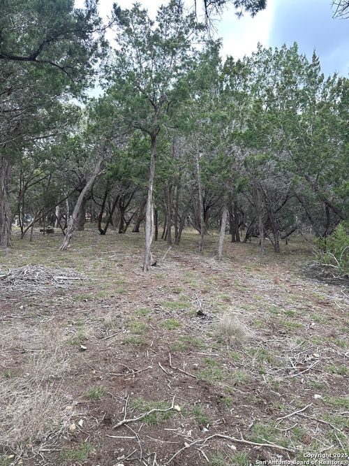 239 Comanche Path, Bandera, TX, 78003-4462 | Card Image