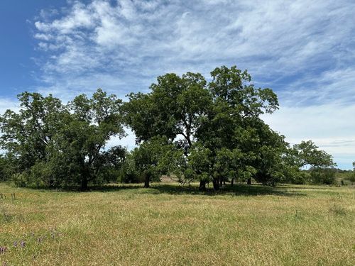 unk 114ac Cr 330, Bertram, TX, 78605 | Card Image