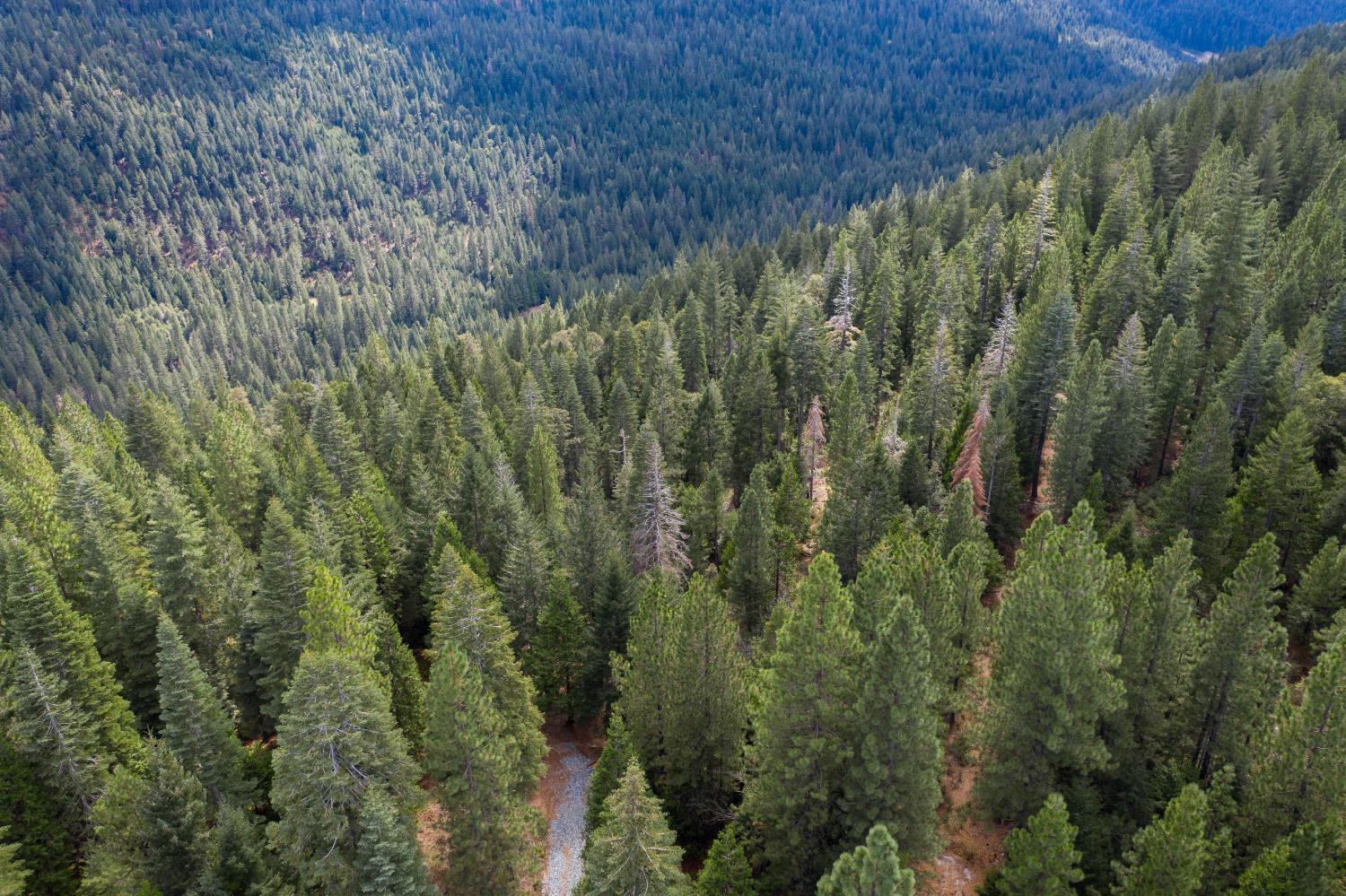 Land in Nevada City