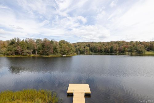 212 Trout Brook Rd, Roscoe, NY, 12776-5928 | Card Image