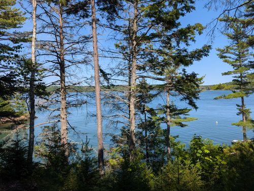 18 Birches Dr, Boothbay, ME, 04537-4909 | Card Image