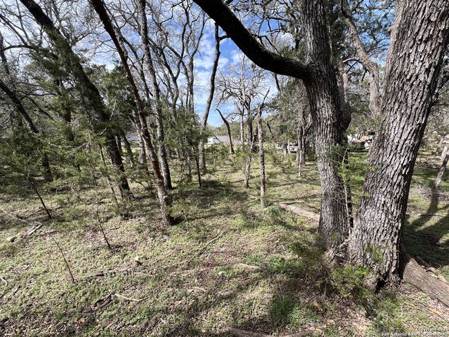 1337 Valley Springs Rd, Home with 0 bedrooms, 0 bathrooms and null parking in Spring Branch TX | Image 8
