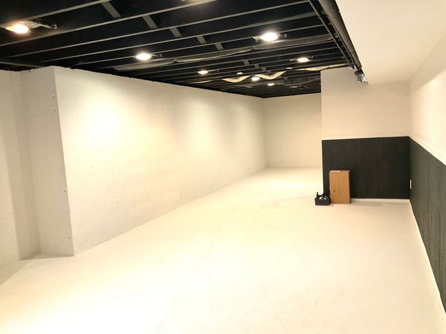 Large, clean, dry, freshly painted basement with endless possibilities. | Image 38