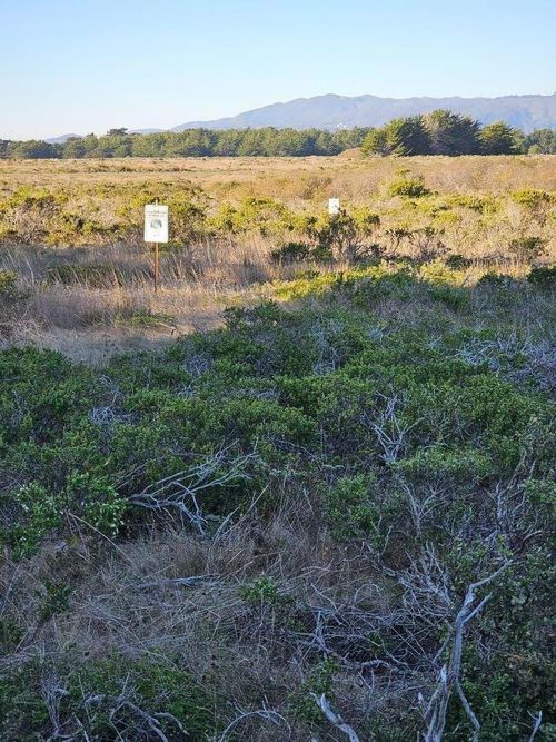 0 Rose Rd, Half Moon Bay, CA, 94019 | Card Image