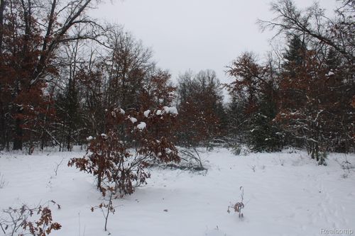 VL Good, Mills Township, MI, 48610 | Card Image